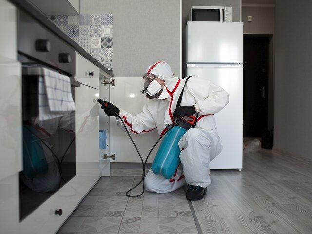 Дератизация